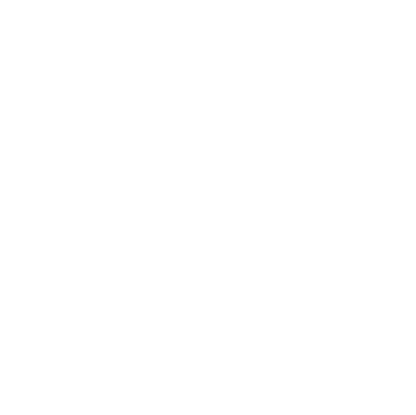 Logo BIn'Om